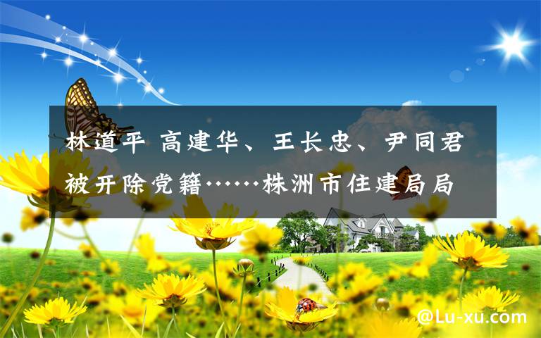 林道平 高建华、王长忠、尹同君被开除党籍……株洲市住建局局长、副局长工作不力被问责