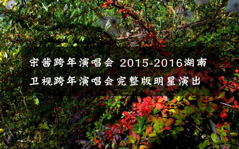 宋茜跨年演唱会 2015-2016湖南卫视跨年演唱会完整版明星演出阵容曝光