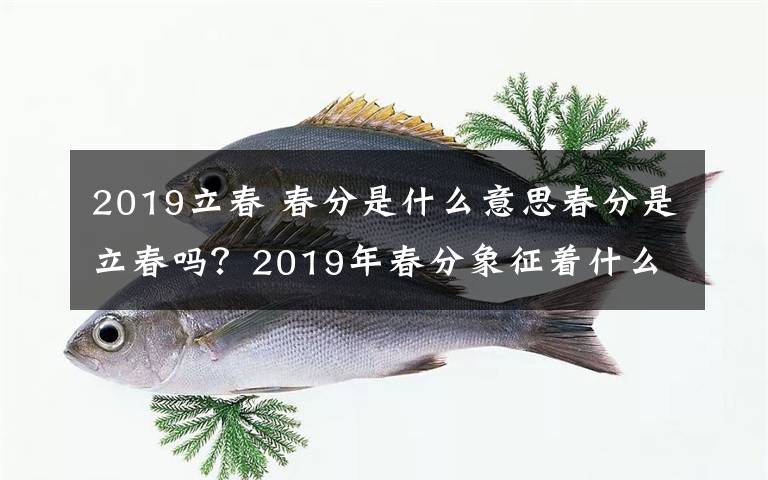 2019立春 春分是什么意思春分是立春吗？2019年春分象征着什么春分与立春区别