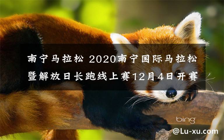 南宁马拉松 2020南宁国际马拉松暨解放日长跑线上赛12月4日开赛