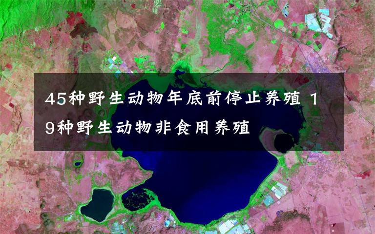 45种野生动物年底前停止养殖 19种野生动物非食用养殖