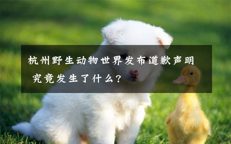 杭州野生动物世界发布道歉声明 究竟发生了什么?