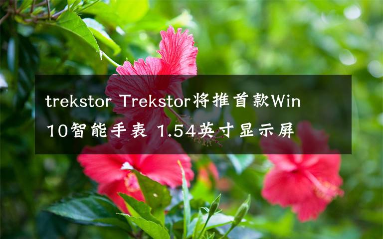 trekstor Trekstor将推首款Win10智能手表 1.54英寸显示屏