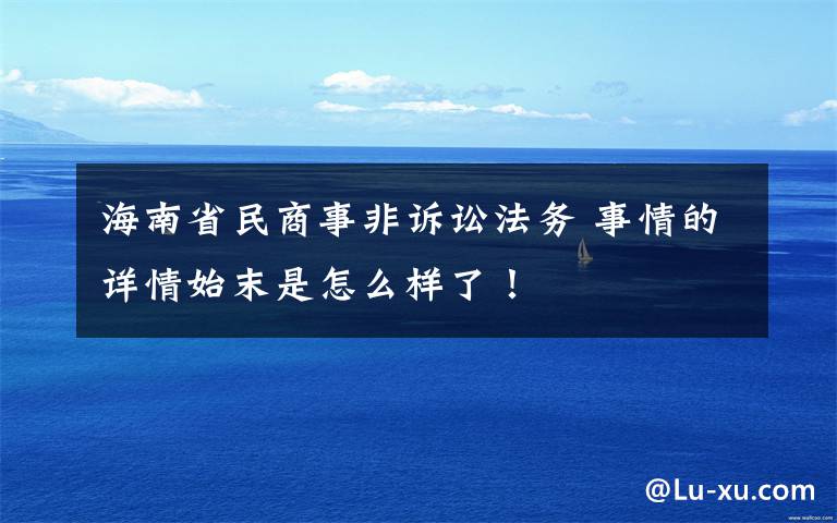 海南省民商事非诉讼法务 事情的详情始末是怎么样了！