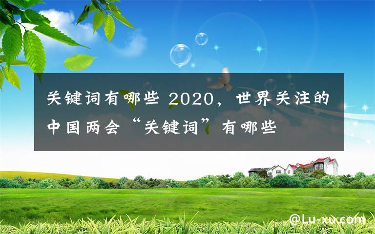 关键词有哪些 2020，世界关注的中国两会“关键词”有哪些