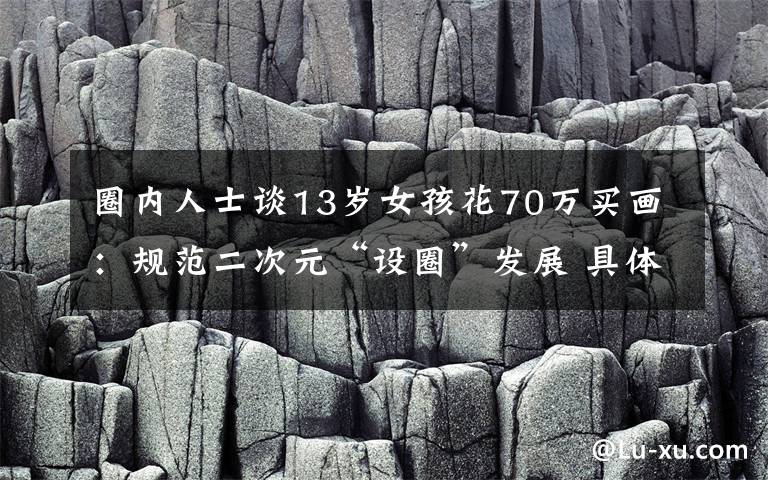 圈内人士谈13岁女孩花70万买画：规范二次元“设圈”发展 具体是什么情况？