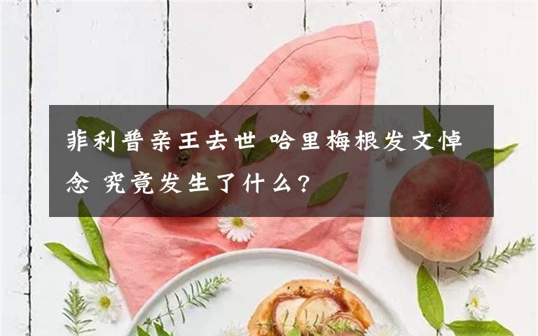 菲利普亲王去世 哈里梅根发文悼念 究竟发生了什么?