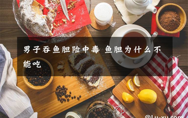 男子吞鱼胆险中毒 鱼胆为什么不能吃