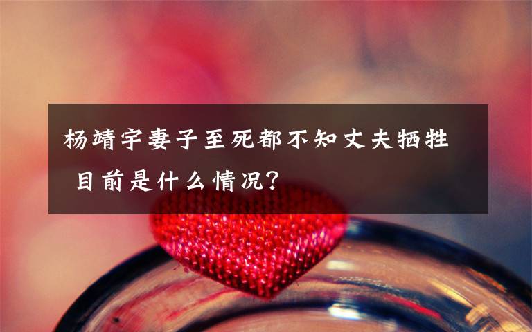 杨靖宇妻子至死都不知丈夫牺牲 目前是什么情况？