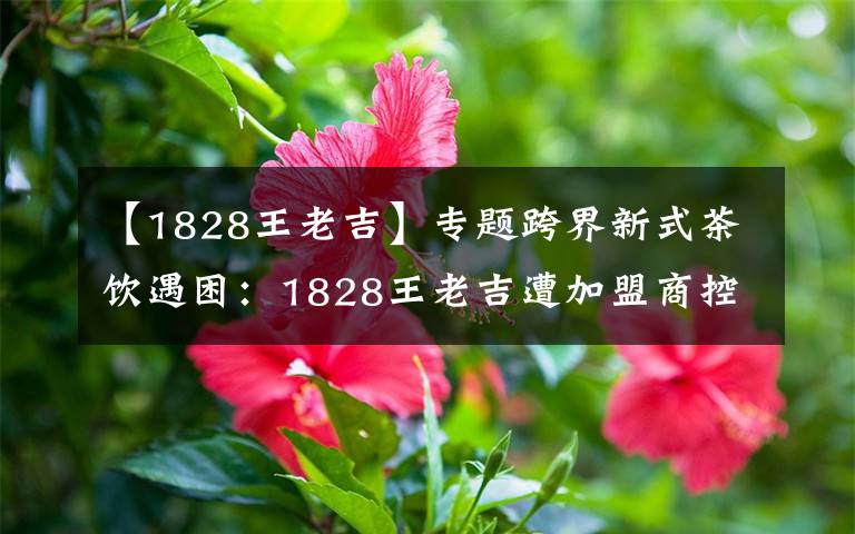 【1828王老吉】专题跨界新式茶饮遇困：1828王老吉遭加盟商控诉