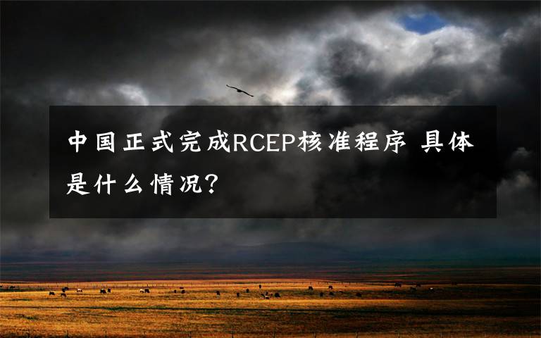 中国正式完成RCEP核准程序 具体是什么情况？