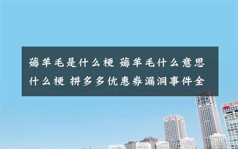 薅羊毛是什么梗 薅羊毛什么意思什么梗 拼多多优惠券漏洞事件全揭秘