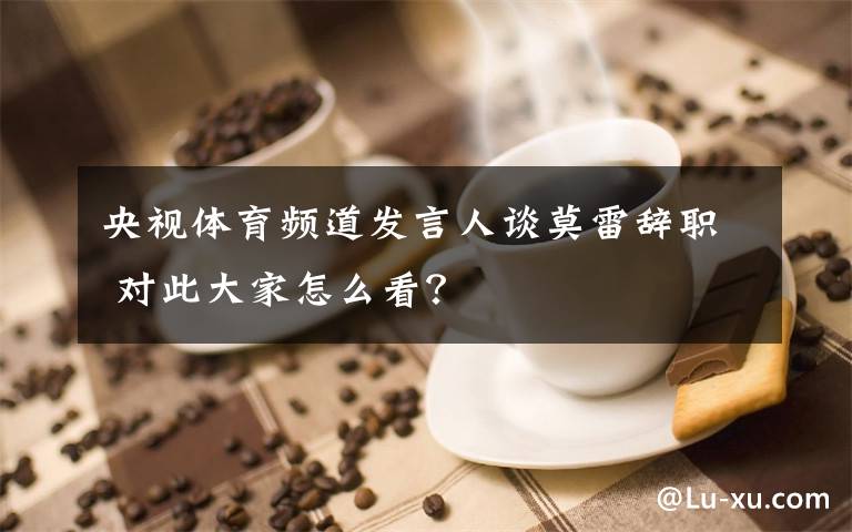 央视体育频道发言人谈莫雷辞职 对此大家怎么看？