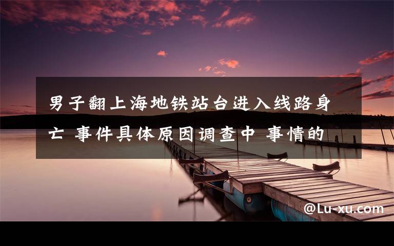 男子翻上海地铁站台进入线路身亡 事件具体原因调查中 事情的详情始末是怎么样了！