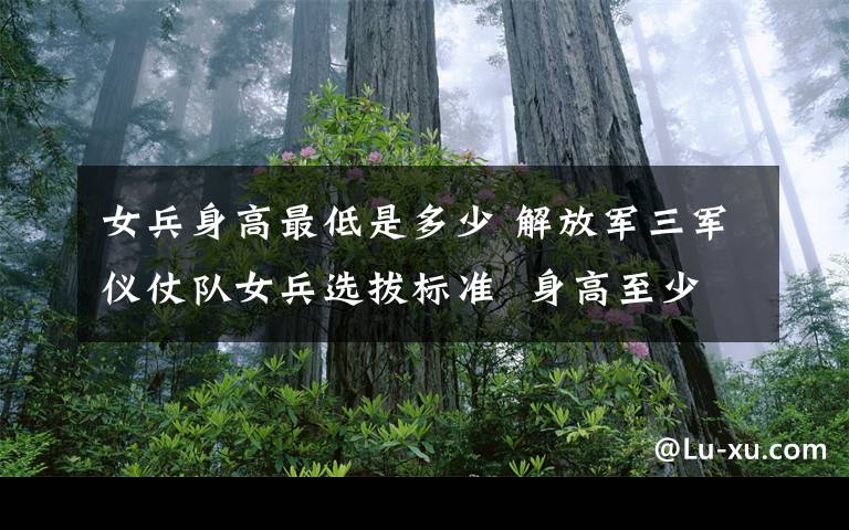 女兵身高最低是多少 解放军三军仪仗队女兵选拔标准  身高至少1.73米