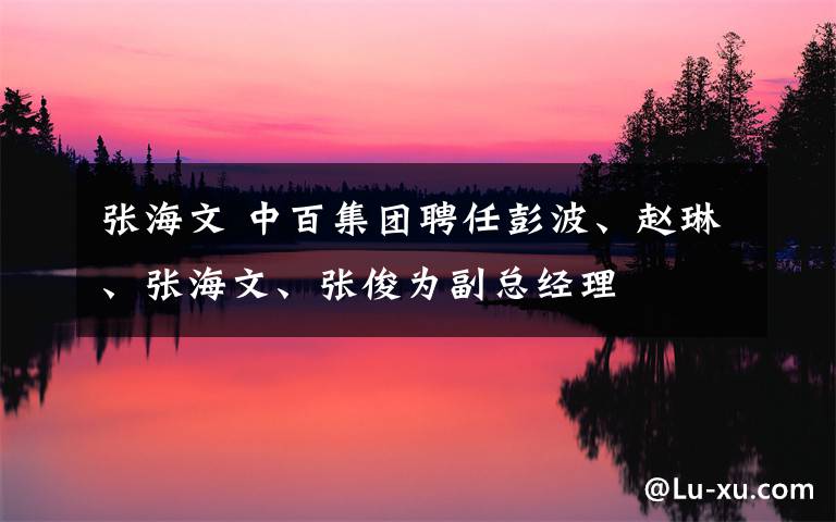 张海文 中百集团聘任彭波、赵琳、张海文、张俊为副总经理