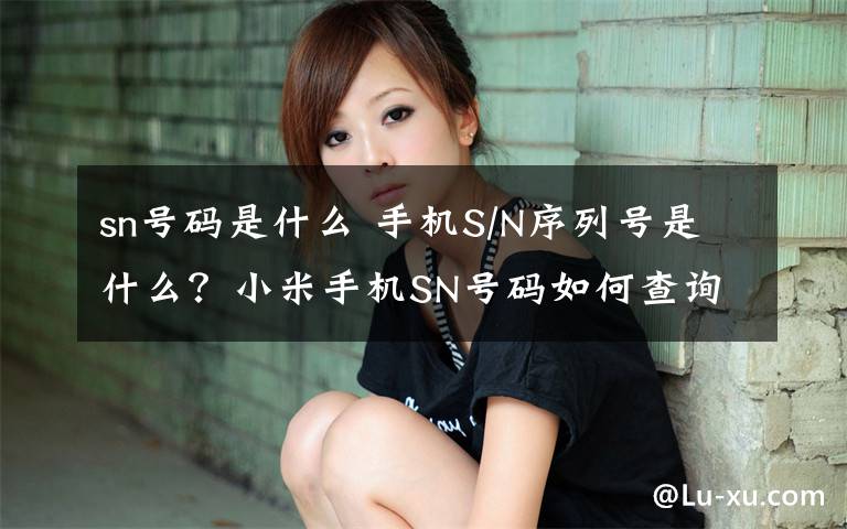 sn号码是什么 手机S/N序列号是什么？小米手机SN号码如何查询方法汇总