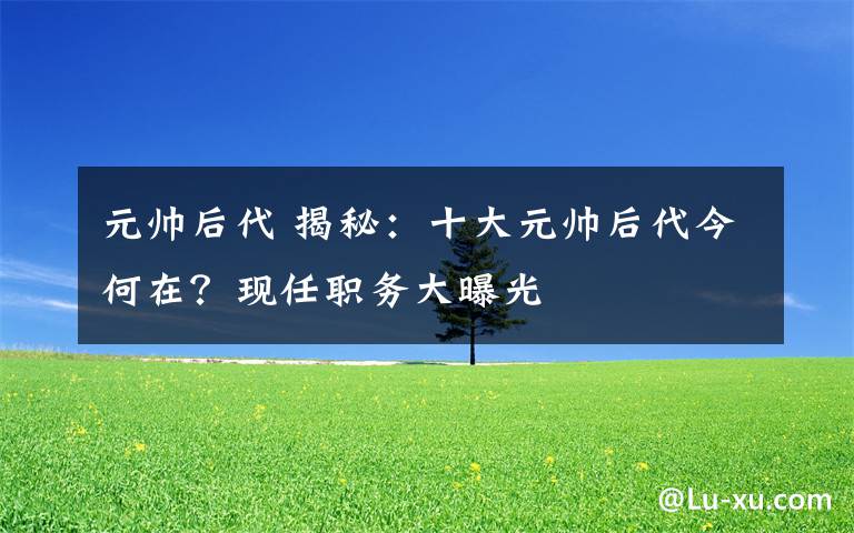 元帅后代 揭秘：十大元帅后代今何在？现任职务大曝光