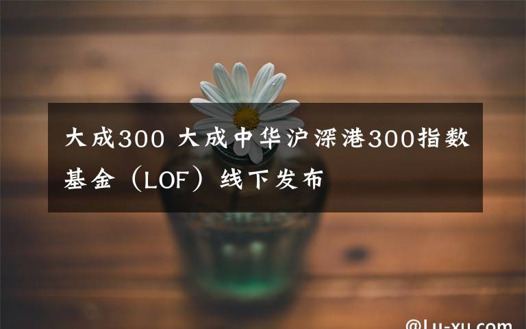 大成300 大成中华沪深港300指数基金（LOF）线下发布