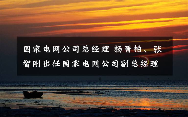 国家电网公司总经理 杨晋柏、张智刚出任国家电网公司副总经理