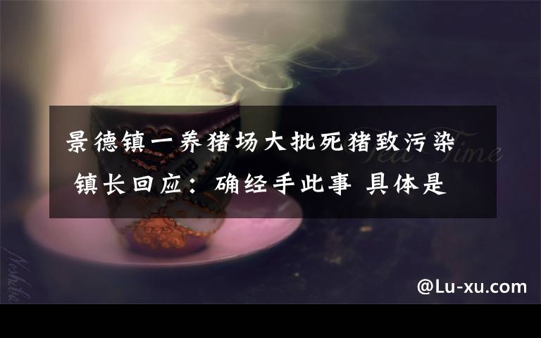 景德镇一养猪场大批死猪致污染 镇长回应：确经手此事 具体是啥情况?