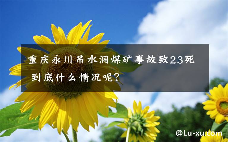 重庆永川吊水洞煤矿事故致23死 到底什么情况呢？