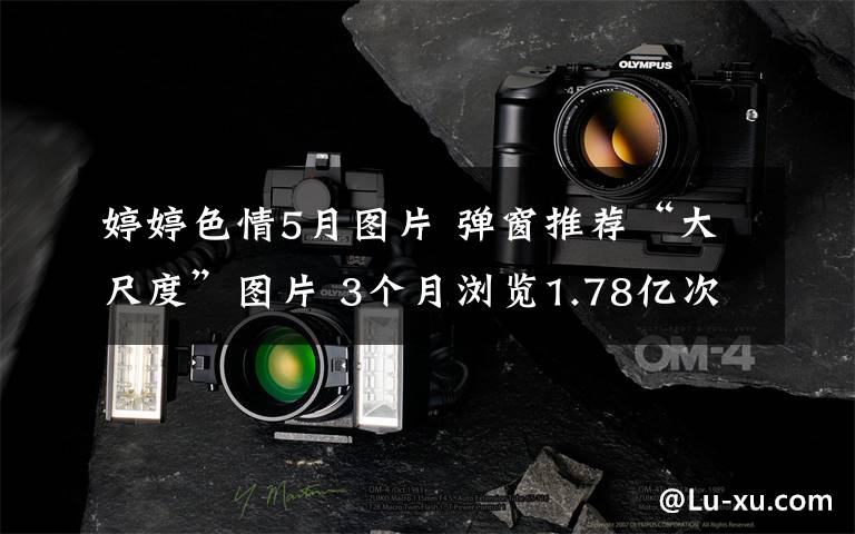 婷婷色情5月图片 弹窗推荐“大尺度”图片 3个月浏览1.78亿次!杭州5人团伙被判刑