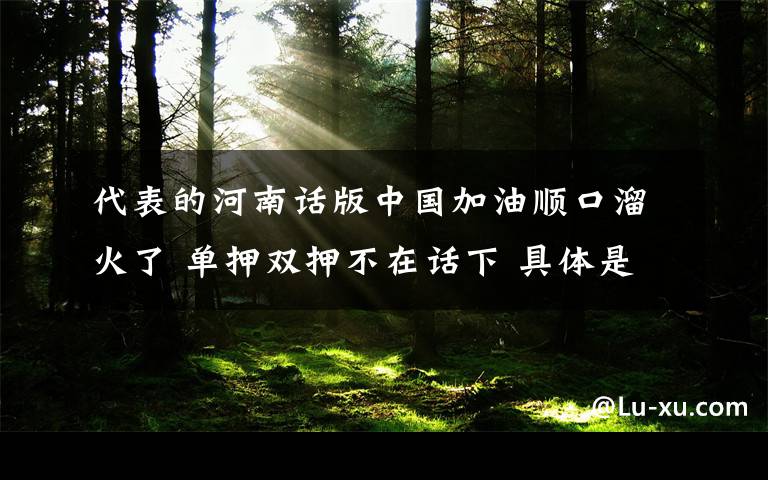 代表的河南话版中国加油顺口溜火了 单押双押不在话下 具体是啥情况?