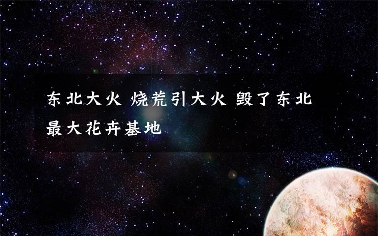 东北大火 烧荒引大火 毁了东北最大花卉基地