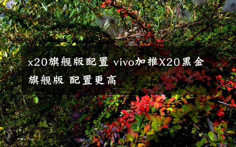 x20旗舰版配置 vivo加推X20黑金旗舰版 配置更高