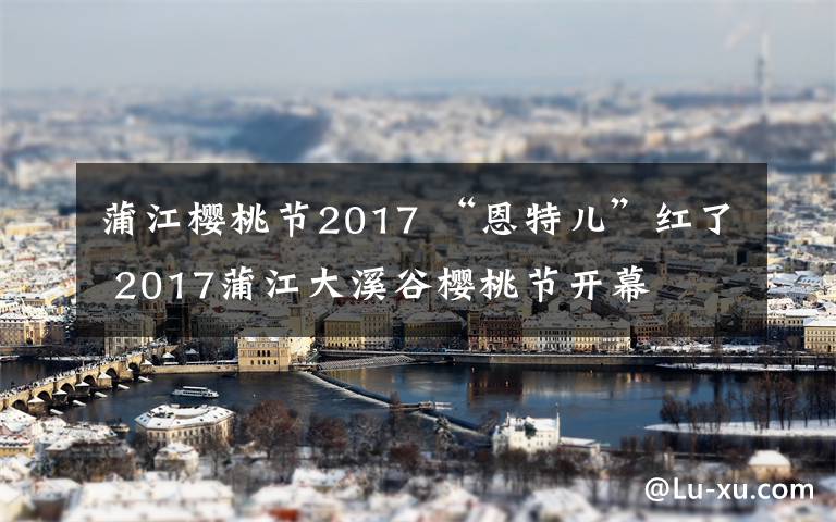 蒲江樱桃节2017 “恩特儿”红了 2017蒲江大溪谷樱桃节开幕