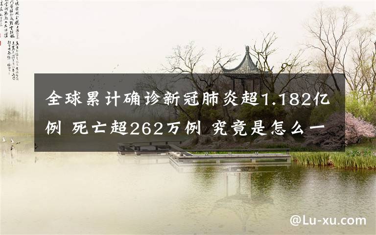 全球累计确诊新冠肺炎超1.182亿例 死亡超262万例 究竟是怎么一回事?