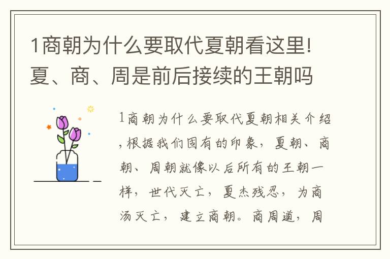 1商朝为什么要取代夏朝看这里!夏、商、周是前后接续的王朝吗? 专家: 它们是同时存在的