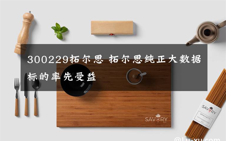 300229拓尔思 拓尔思纯正大数据标的率先受益