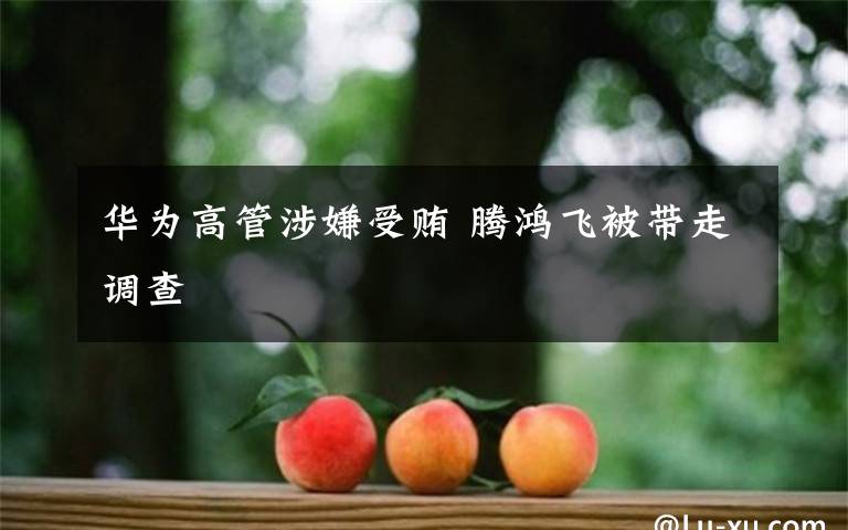 华为高管涉嫌受贿 腾鸿飞被带走调查