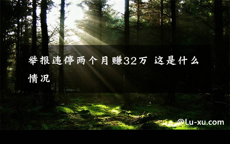 举报违停两个月赚32万 这是什么情况