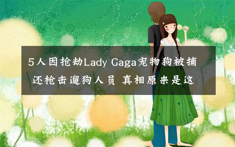 5人因抢劫Lady Gaga宠物狗被捕 还枪击遛狗人员 真相原来是这样！