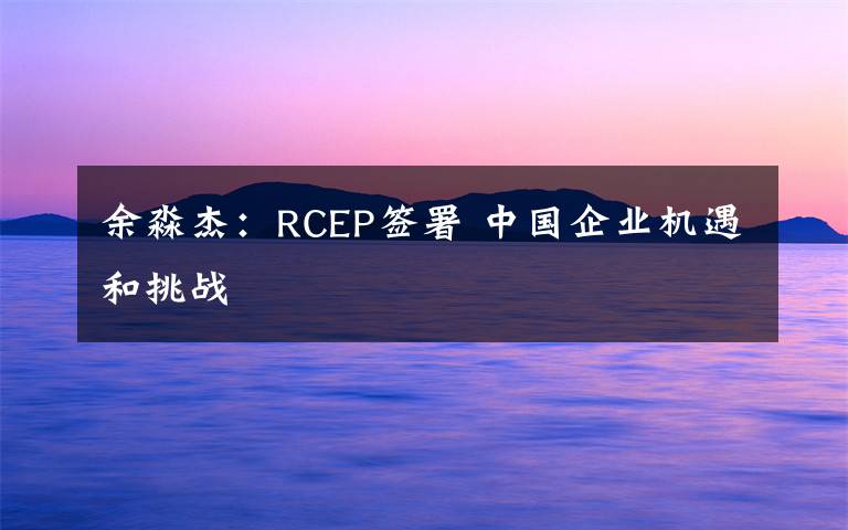余淼杰：RCEP签署 中国企业机遇和挑战