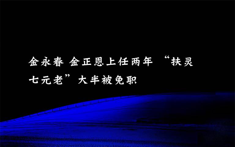 金永春 金正恩上任两年 “扶灵七元老”大半被免职