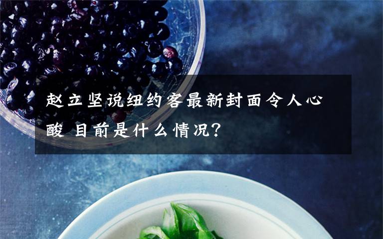 赵立坚说纽约客最新封面令人心酸 目前是什么情况？