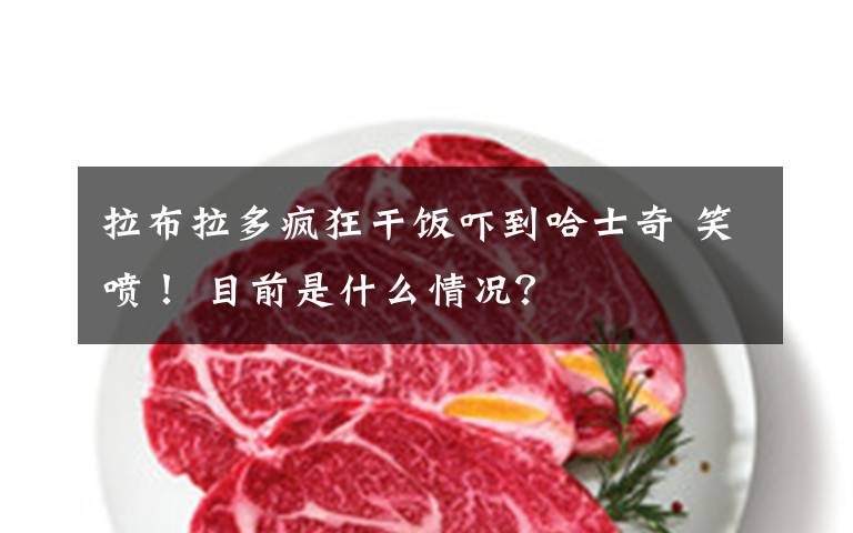 拉布拉多疯狂干饭吓到哈士奇 笑喷！ 目前是什么情况？