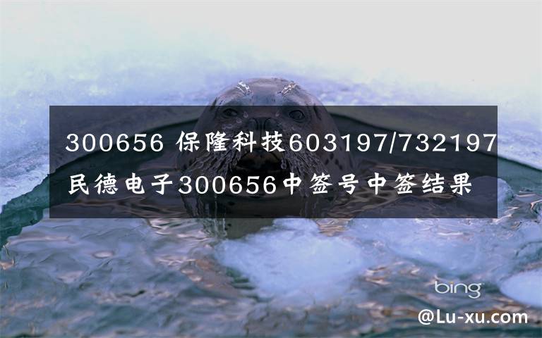 300656 保隆科技603197/732197民德电子300656中签号中签结果查询