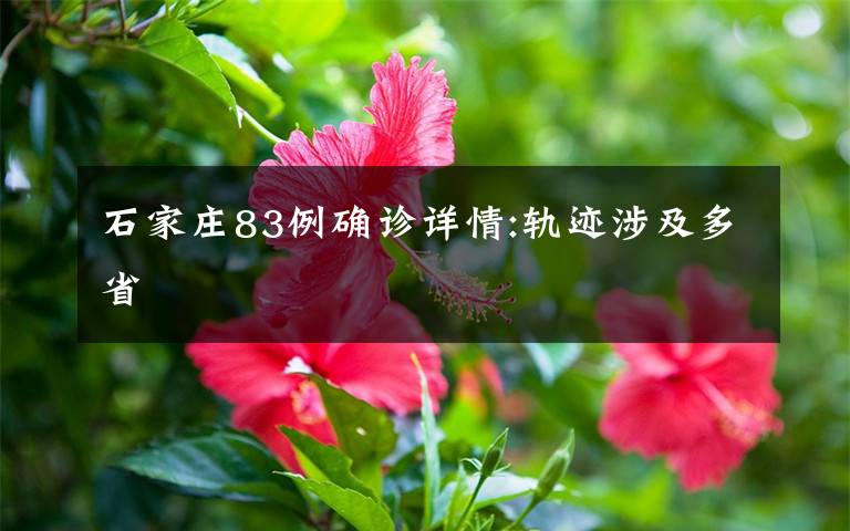 石家庄83例确诊详情:轨迹涉及多省