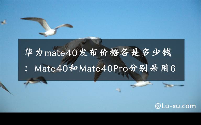 华为mate40发布价格各是多少钱：Mate40和Mate40Pro分别采用6.5英寸和6.76英寸曲面OLED屏幕，刷新