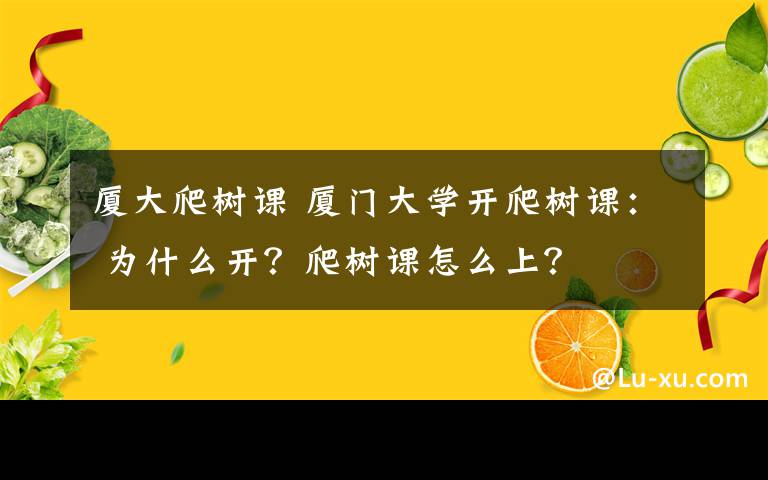 厦大爬树课 厦门大学开爬树课： 为什么开？爬树课怎么上？