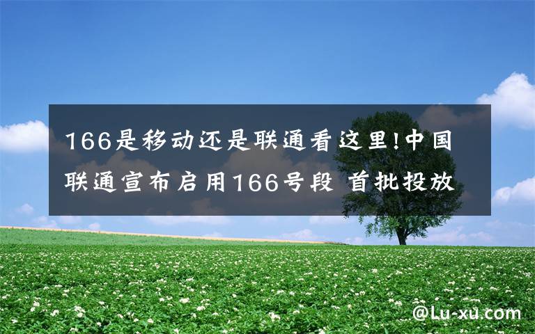 166是移动还是联通看这里!中国联通宣布启用166号段 首批投放百万个号码
