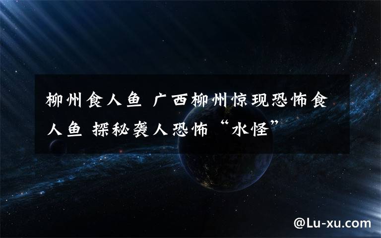 柳州食人鱼 广西柳州惊现恐怖食人鱼 探秘袭人恐怖“水怪”