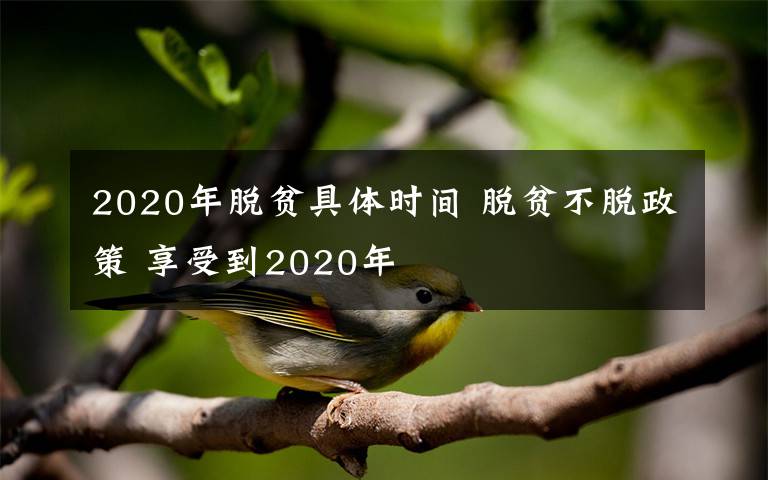 2020年脱贫具体时间 脱贫不脱政策 享受到2020年