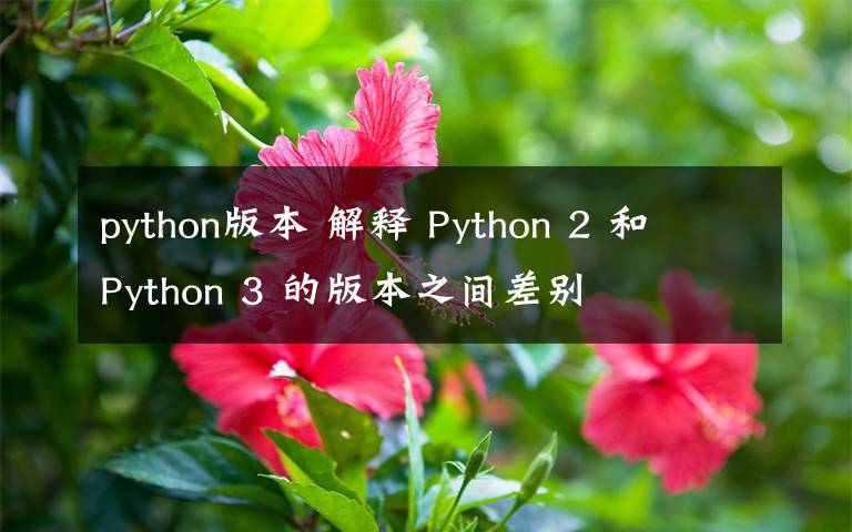 python版本 解释 Python 2 和 Python 3 的版本之间差别