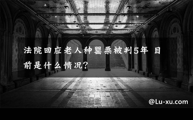 法院回应老人种罂粟被判5年 目前是什么情况？